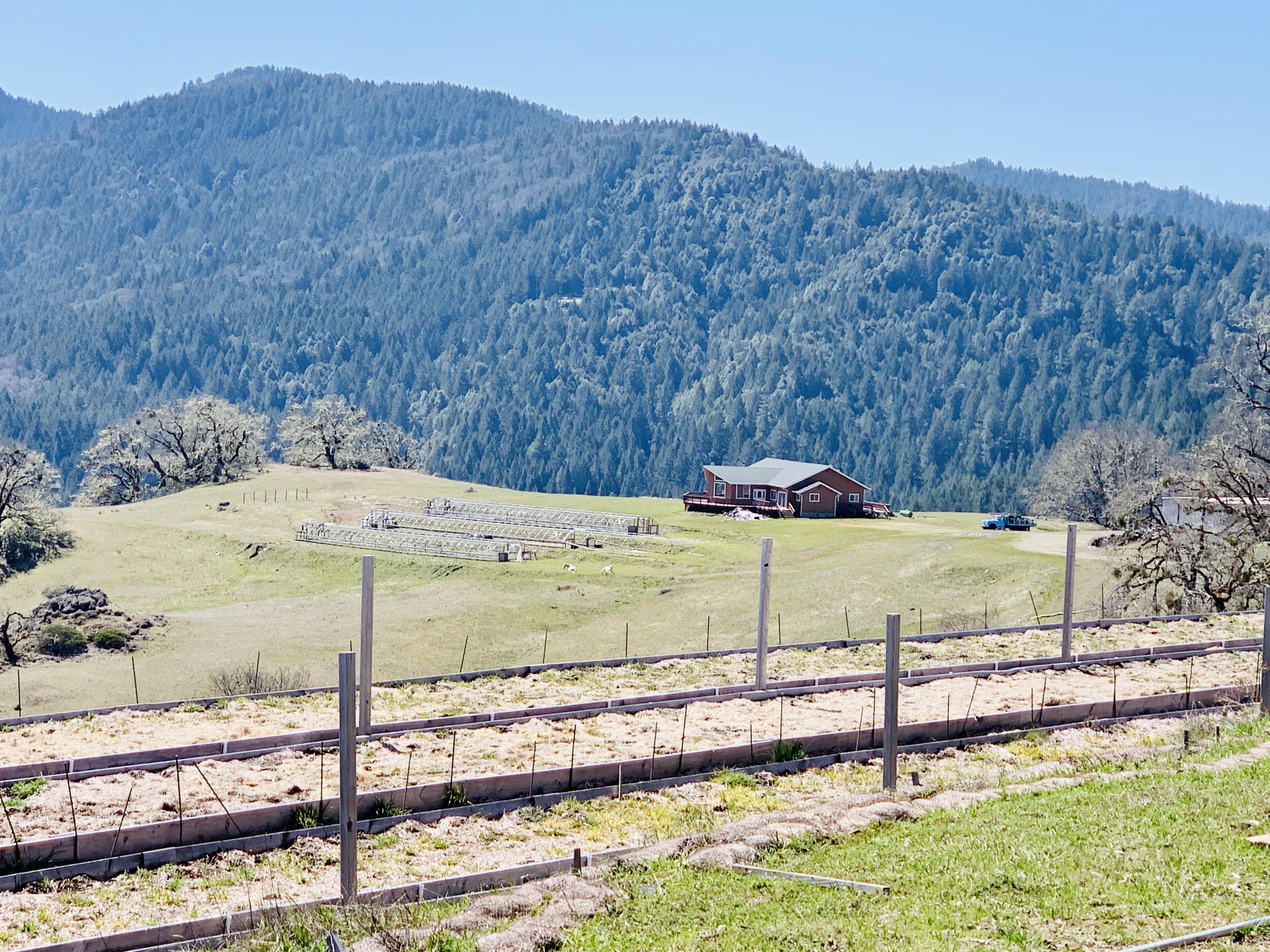 1700 Larabee Valley Road Bridgeville, CA 95526 - Photo 3 of 25