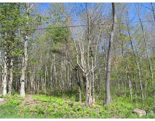 Lot 46 Old Lewiston Road Winthrop, ME 04364 - Photo 3 of 7 Land. View of the land from Old...