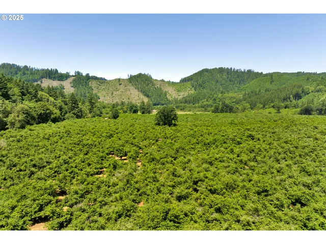 a view of a lush green field