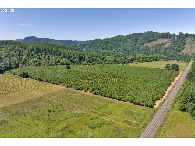 a view of a lush green hillside and a houses