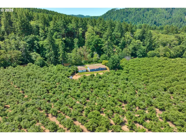 a view of a garden with a building