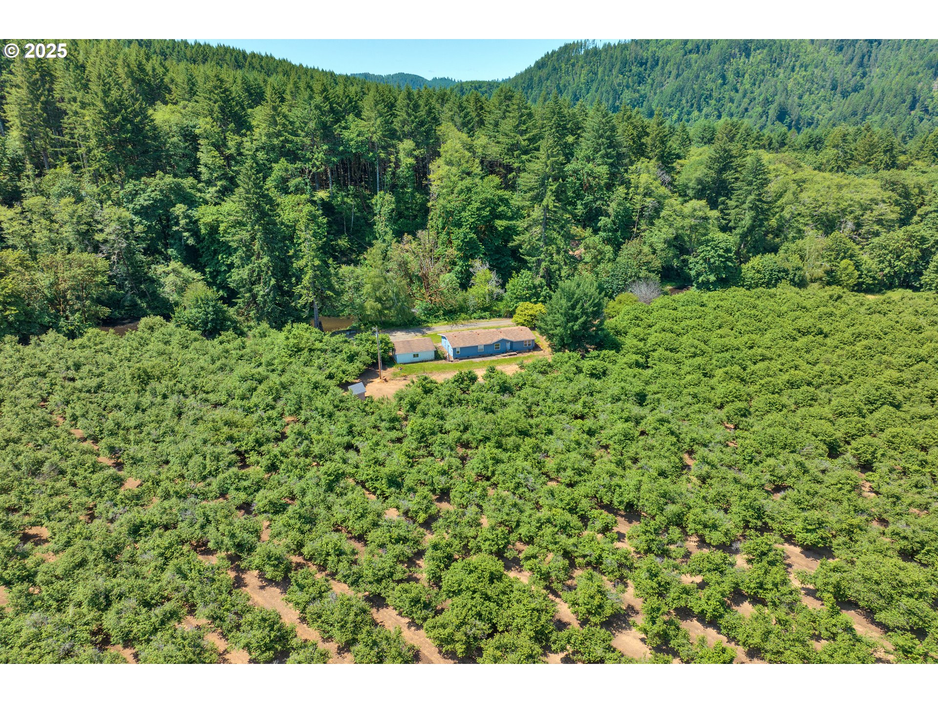 17246 Alsea Highway Alsea, OR 97324 - Photo 13 of 32