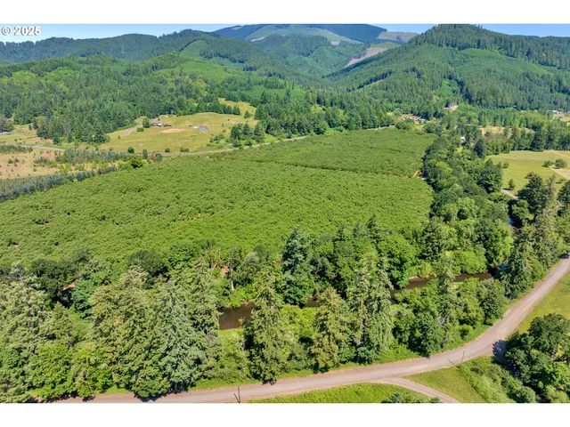 a view of a lush green field