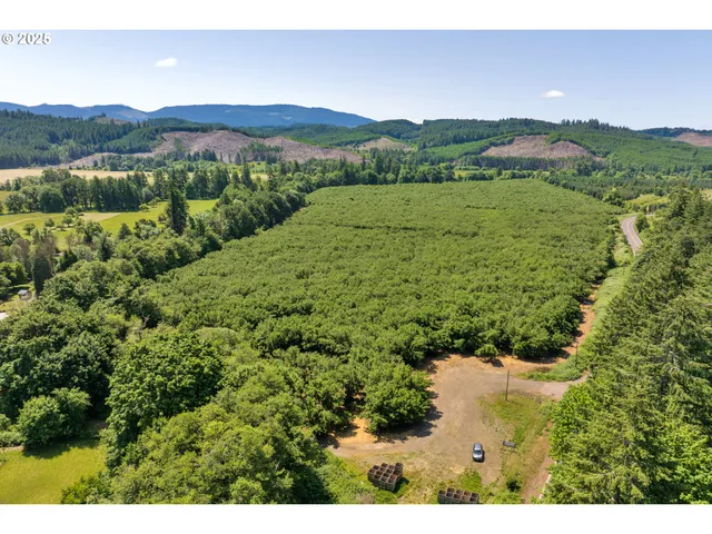 a view of a lush green hillside and a houses