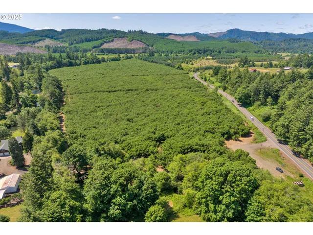 a view of a lush green hillside and a building