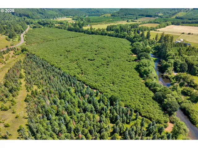 a view of a lush green outdoor space with a lake view