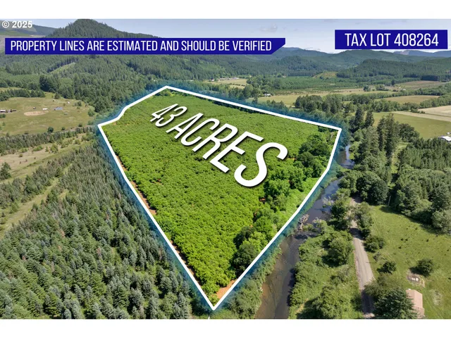 a view of a back yard