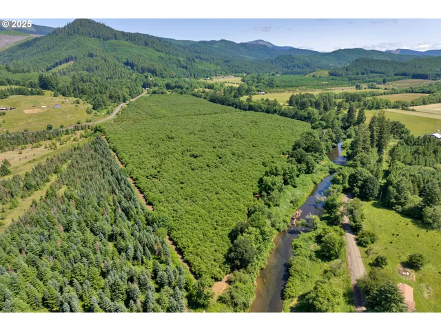 a view of a lush green hillside and houses