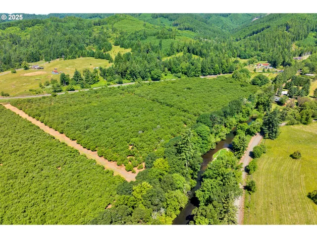 a view of an outdoor space and a yard