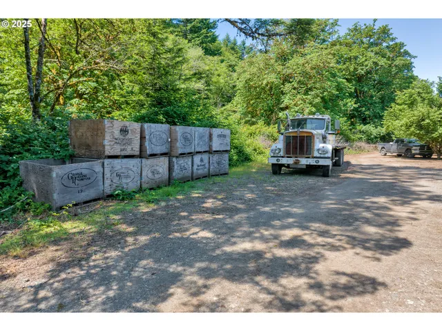 a view of a backyard with furniture and trees