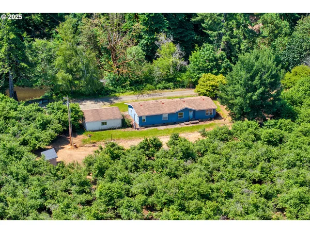 a view of a garden with large trees
