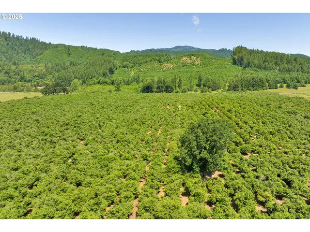 a view of a lush green hillside and a building