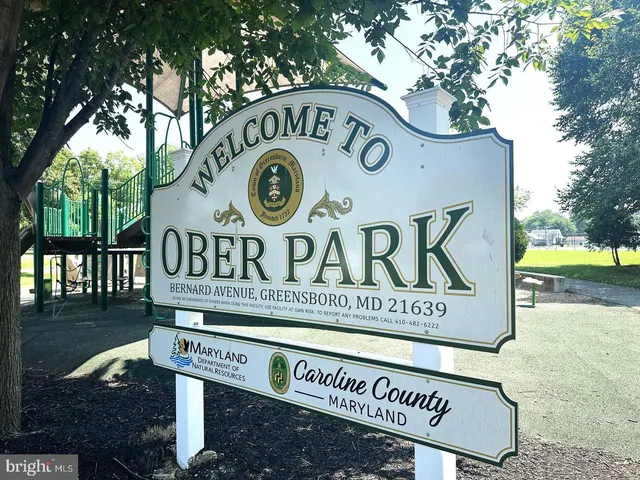 a view of a swimming pool with a yard and palm trees