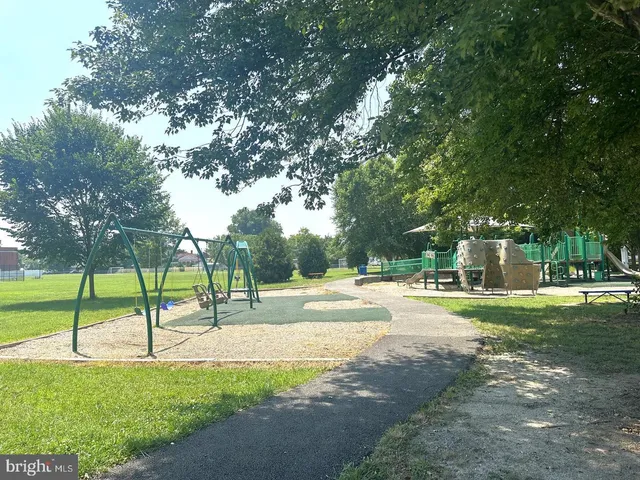 a view of a yard with plants and trees