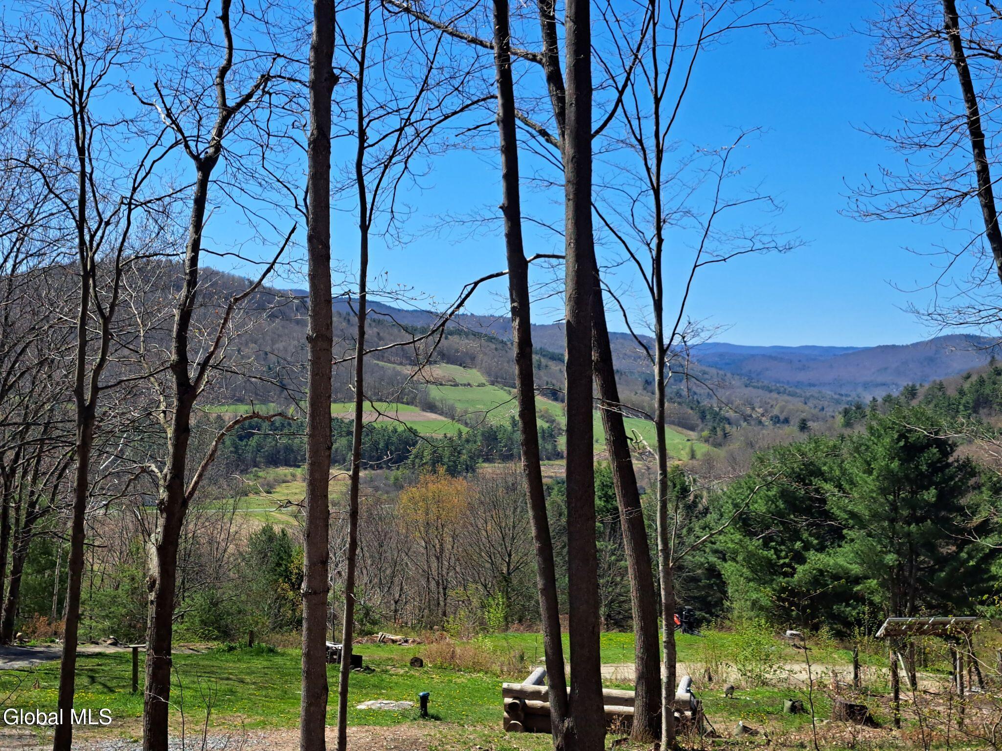 277 Breese Hollow Road Hoosick, NY 12089 - Photo 29 of 52 29 Wooded View
