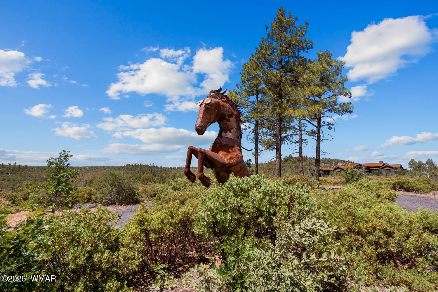512 Fieldy Road Show Low, AZ 85901 - Photo 106 of 128 Horse Statues