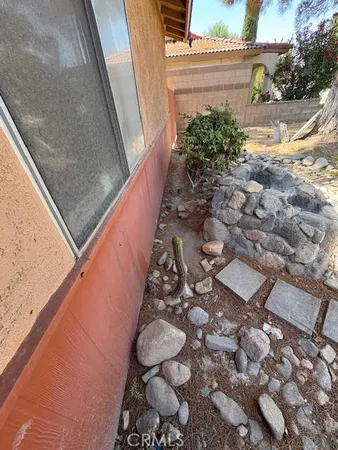 a view of a backyard with plants
