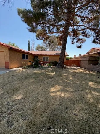 a view of a yard with a tree