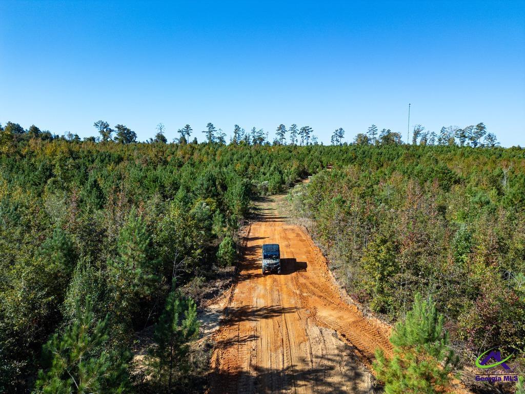 1190 Wriley Road McIntyre, GA 31054 - Photo 9 of 25