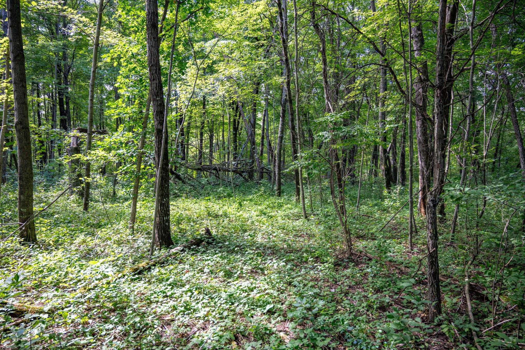 W5878 Wilson Lane Necedah, WI 54646 - Photo 35 of 36