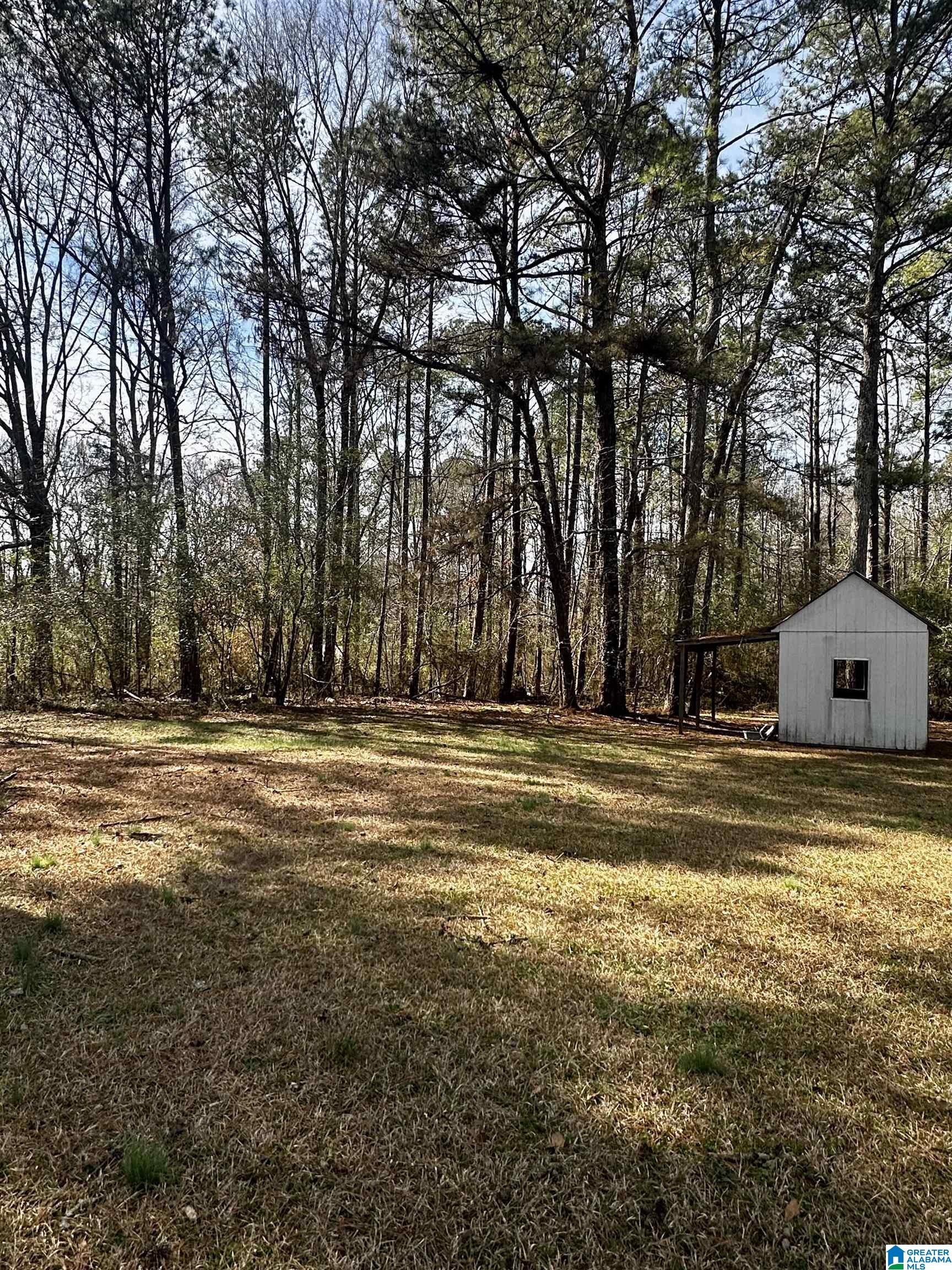 1127 Banks Road Roanoke, AL 36274 - Photo 7 of 34