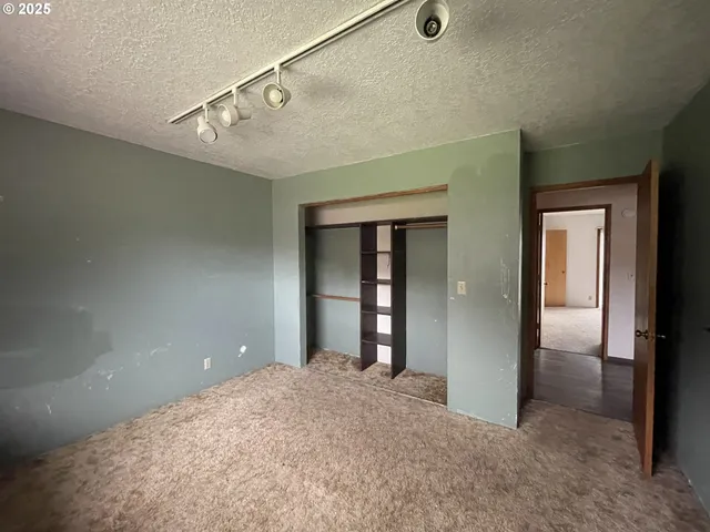 a view of a big room with closet and windows