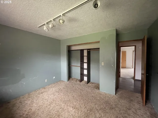 a view of a big room with closet and windows