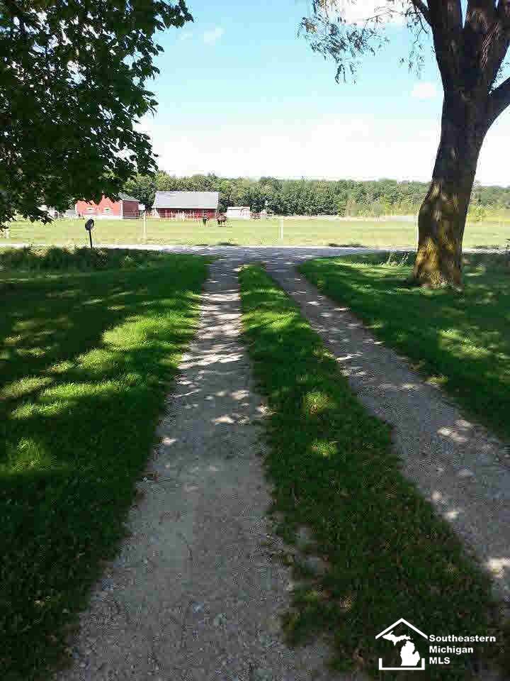9473 Allison Road Maybee, MI 48159 - Photo 2 of 20 Horses across the road!