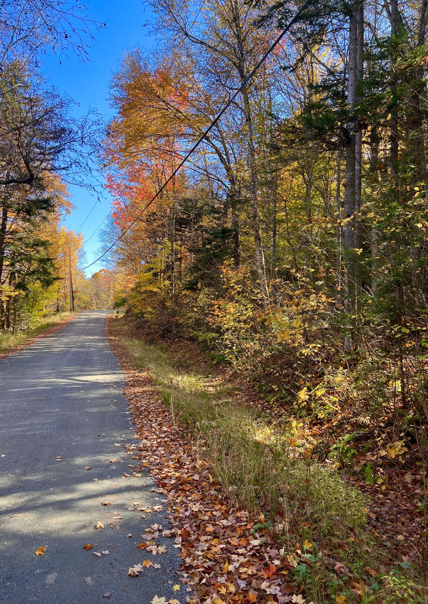 34 Edelheid Road Sandy River Plt, ME 04970 - Photo 1 of 19 Four Season Access