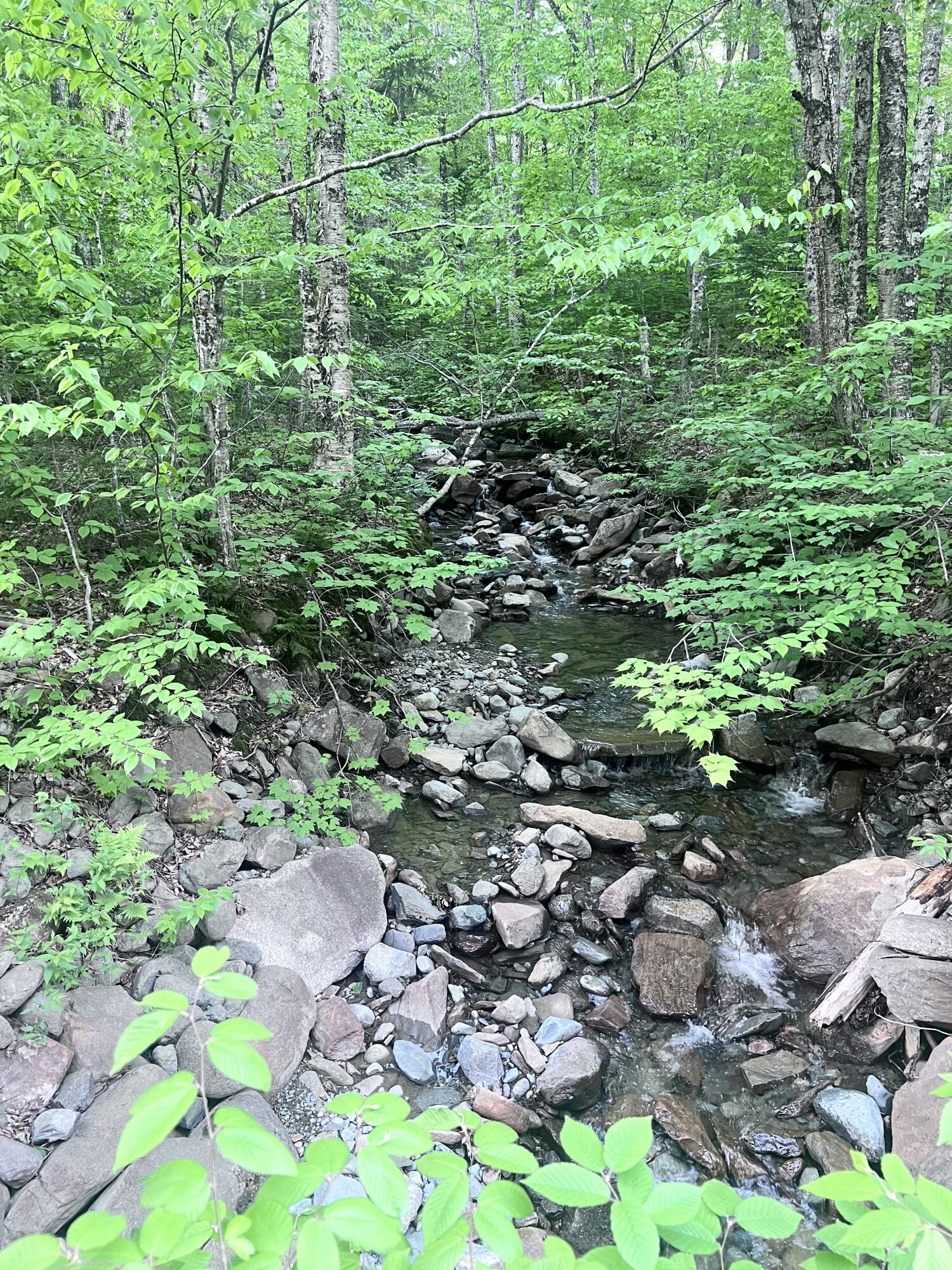 34 Edelheid Road Sandy River Plt, ME 04970 - Photo 11 of 19 Babbling Brook