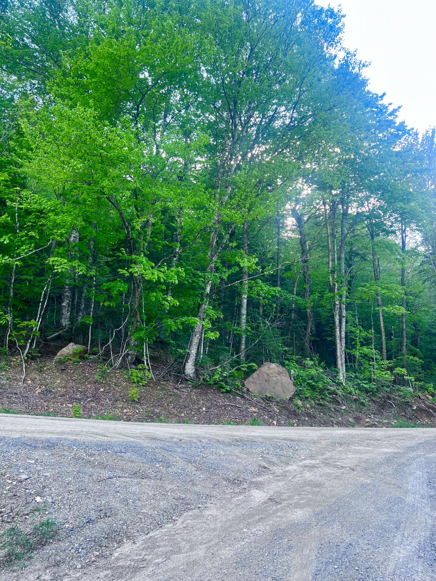 34 Edelheid Road Sandy River Plt, ME 04970 - Photo 17 of 19 Landscape