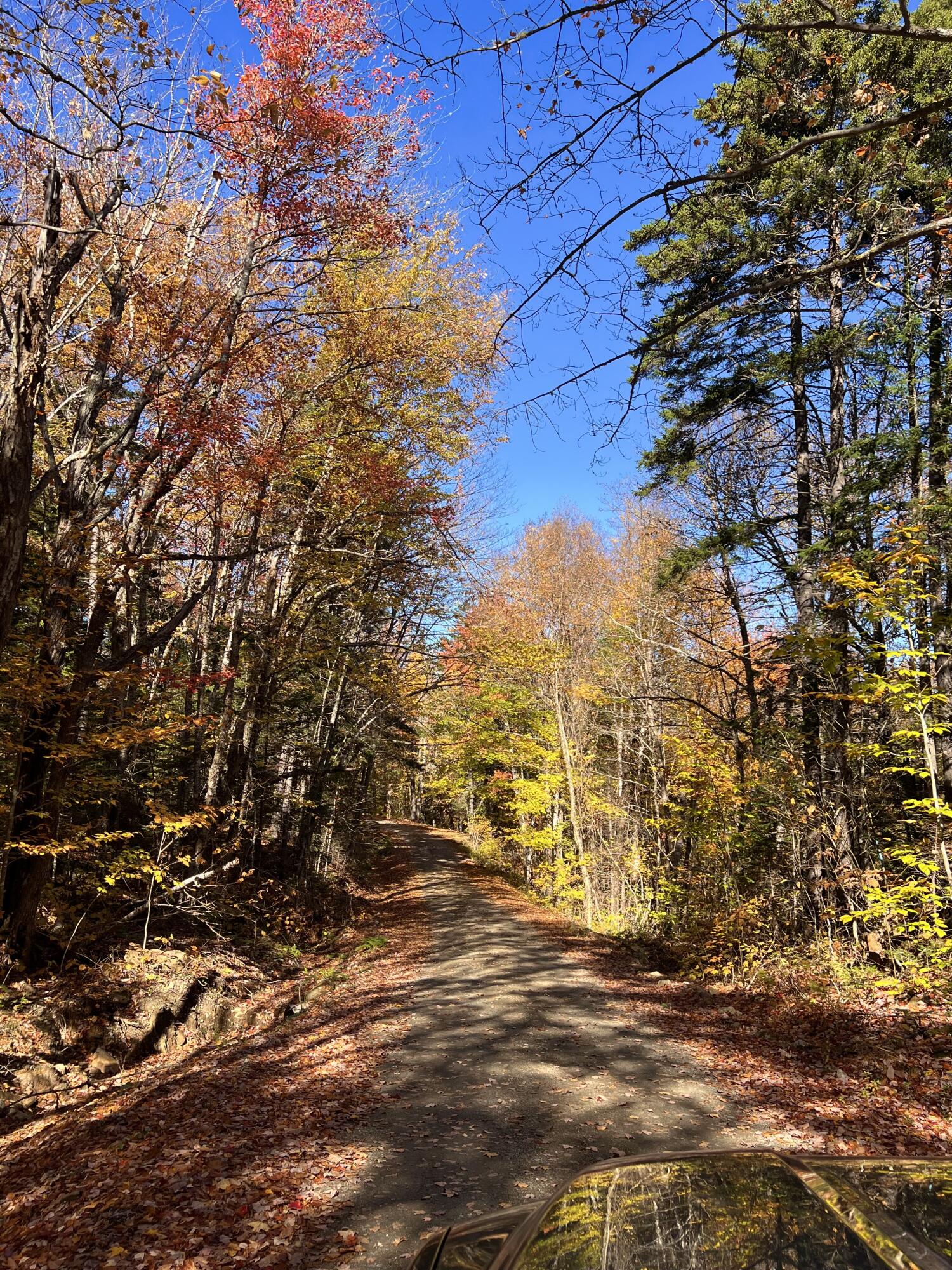 34 Edelheid Road Sandy River Plt, ME 04970 - Photo 19 of 19 Crosstown Road
