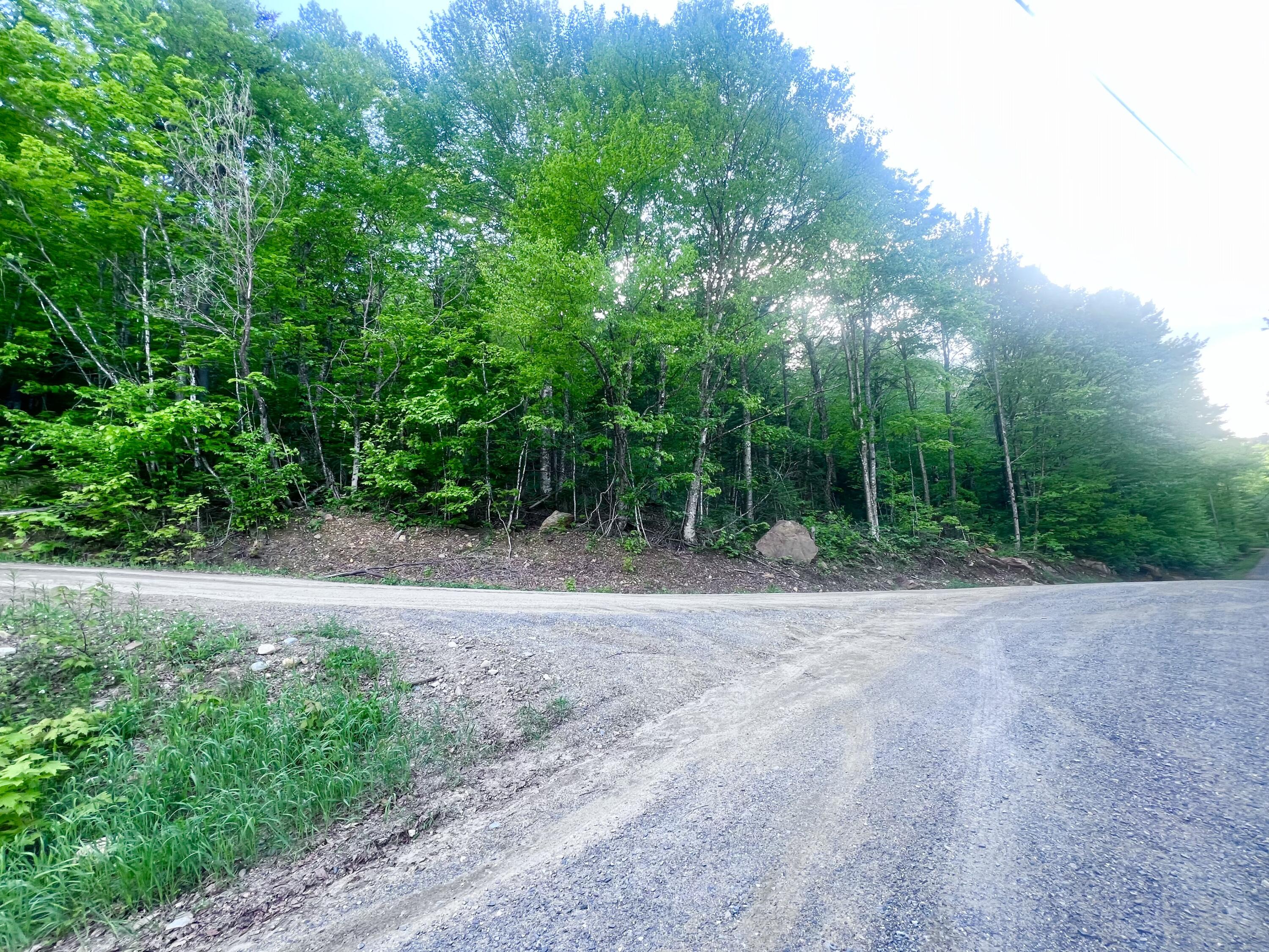 34 Edelheid Road Sandy River Plt, ME 04970 - Photo 4 of 19 Road Frontage on Two Roads
