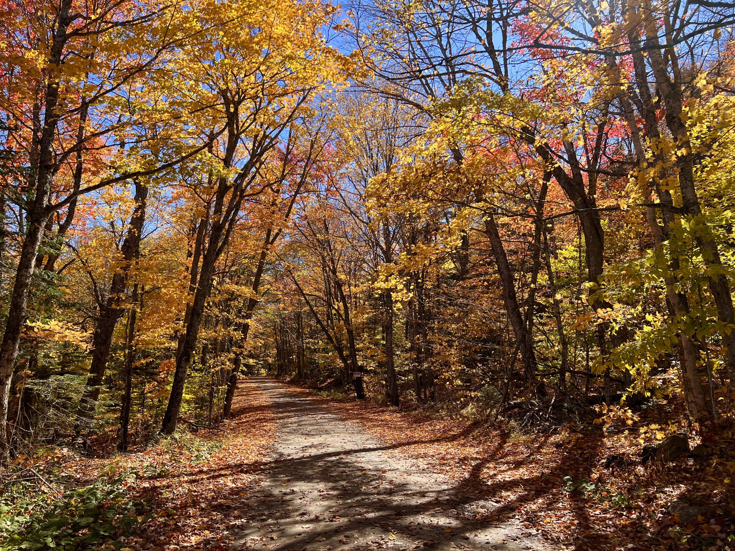 34 Edelheid Road Sandy River Plt, ME 04970 - Photo 6 of 19 Privacy