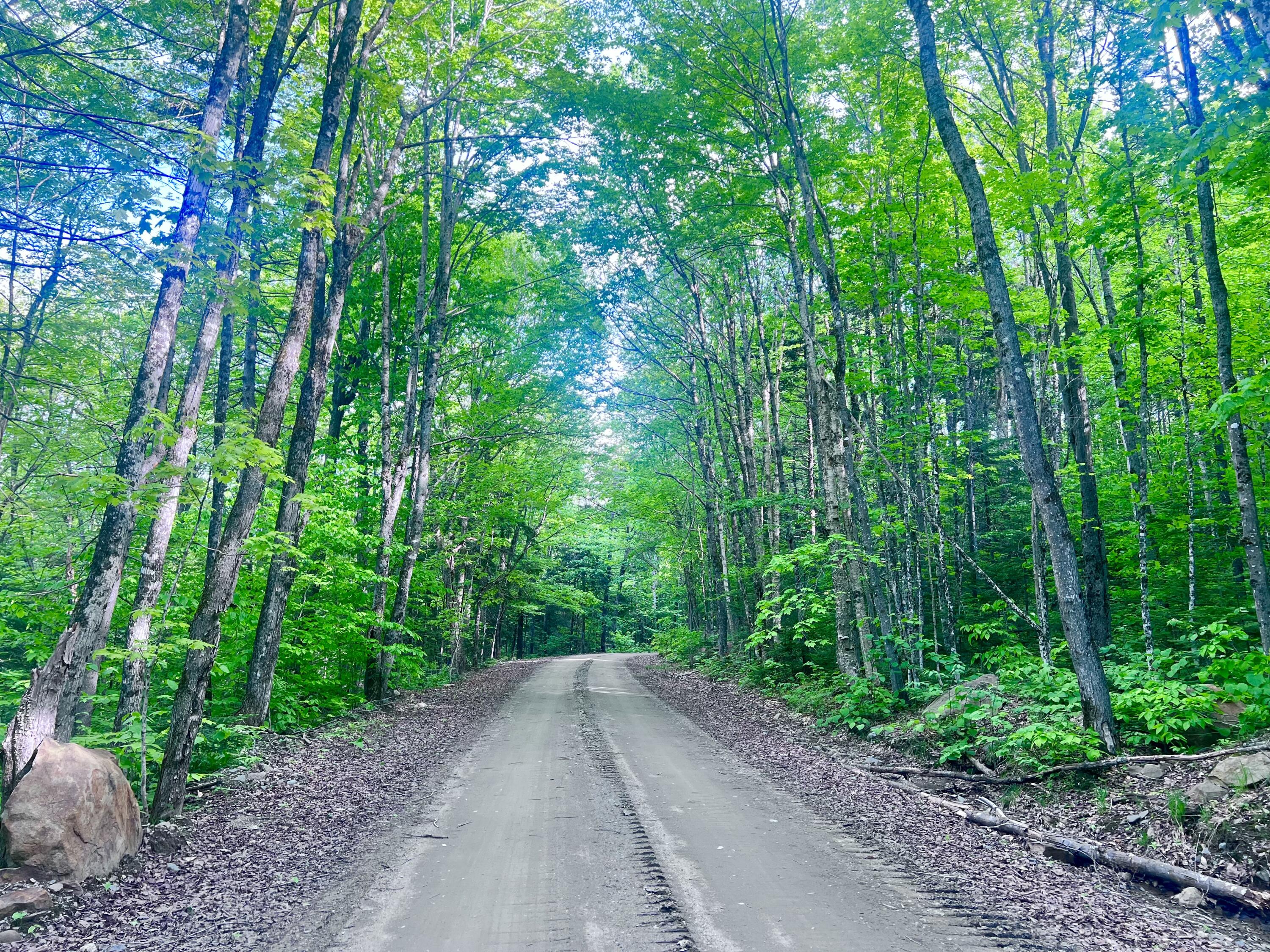 34 Edelheid Road Sandy River Plt, ME 04970 - Photo 7 of 19 Cross Town Road