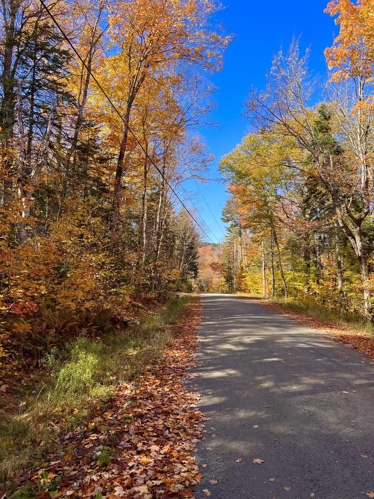 34 Edelheid Road Sandy River Plt, ME 04970 - Photo 8 of 19 Town Road