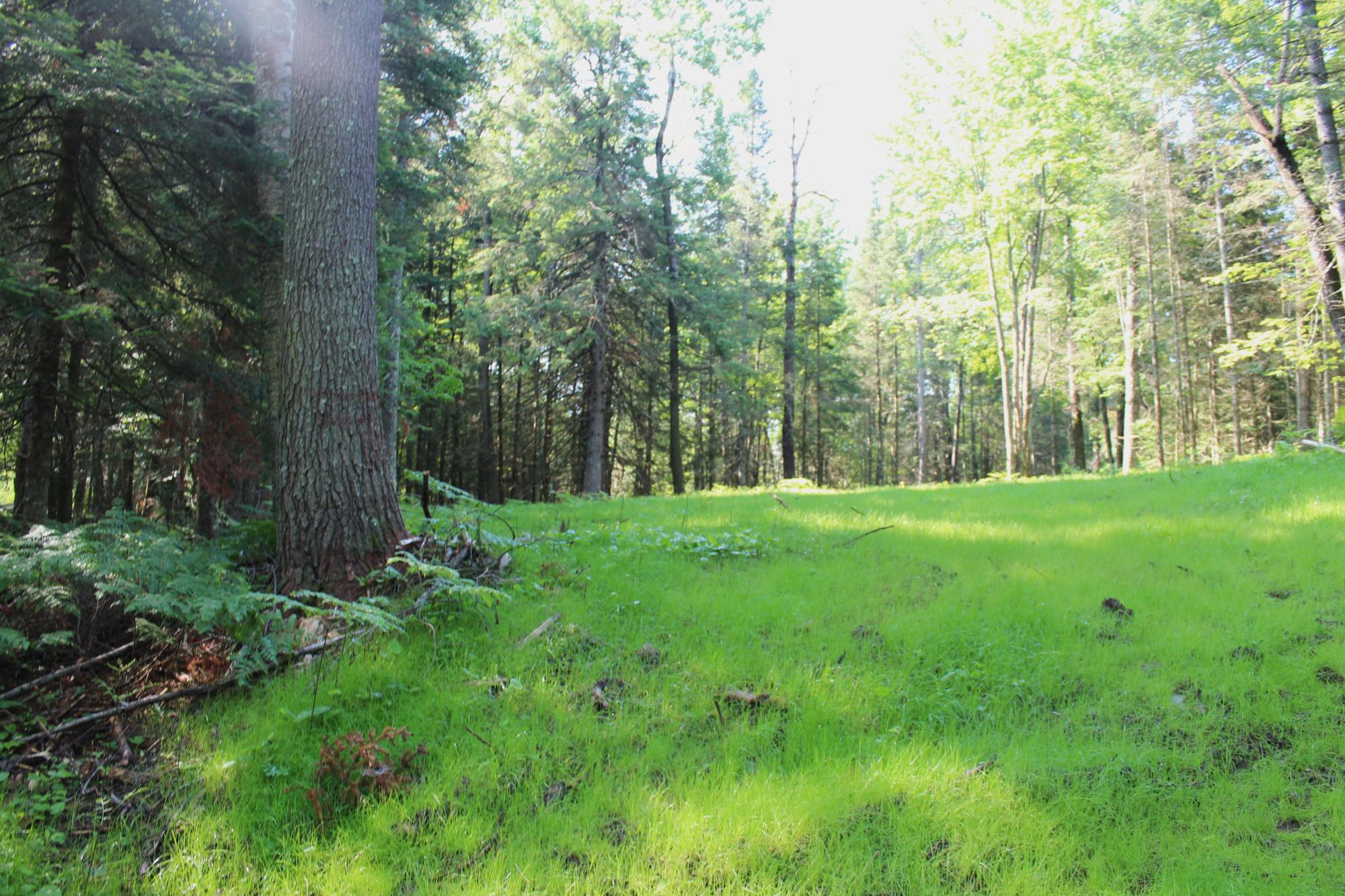 On Grundy Road Gleason, WI 54435 - Photo 14 of 19 Gallery Image 14