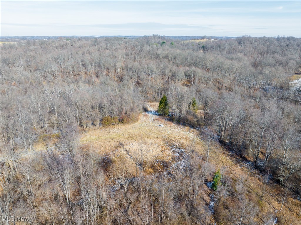 377 State Route Malta, OH 43758 - Photo 35 of 36 Bird's eye view of a heavily wooded area