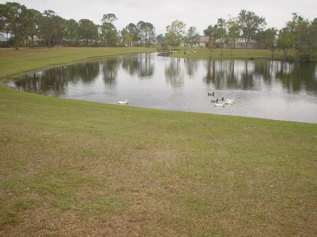 117 Bent Arrow Drive, Unit B Jupiter, FL 33458 - Photo 17 of 18 20171103162514983859000000-o