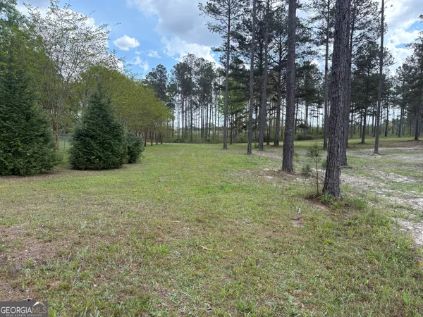 a view of outdoor space with trees all around