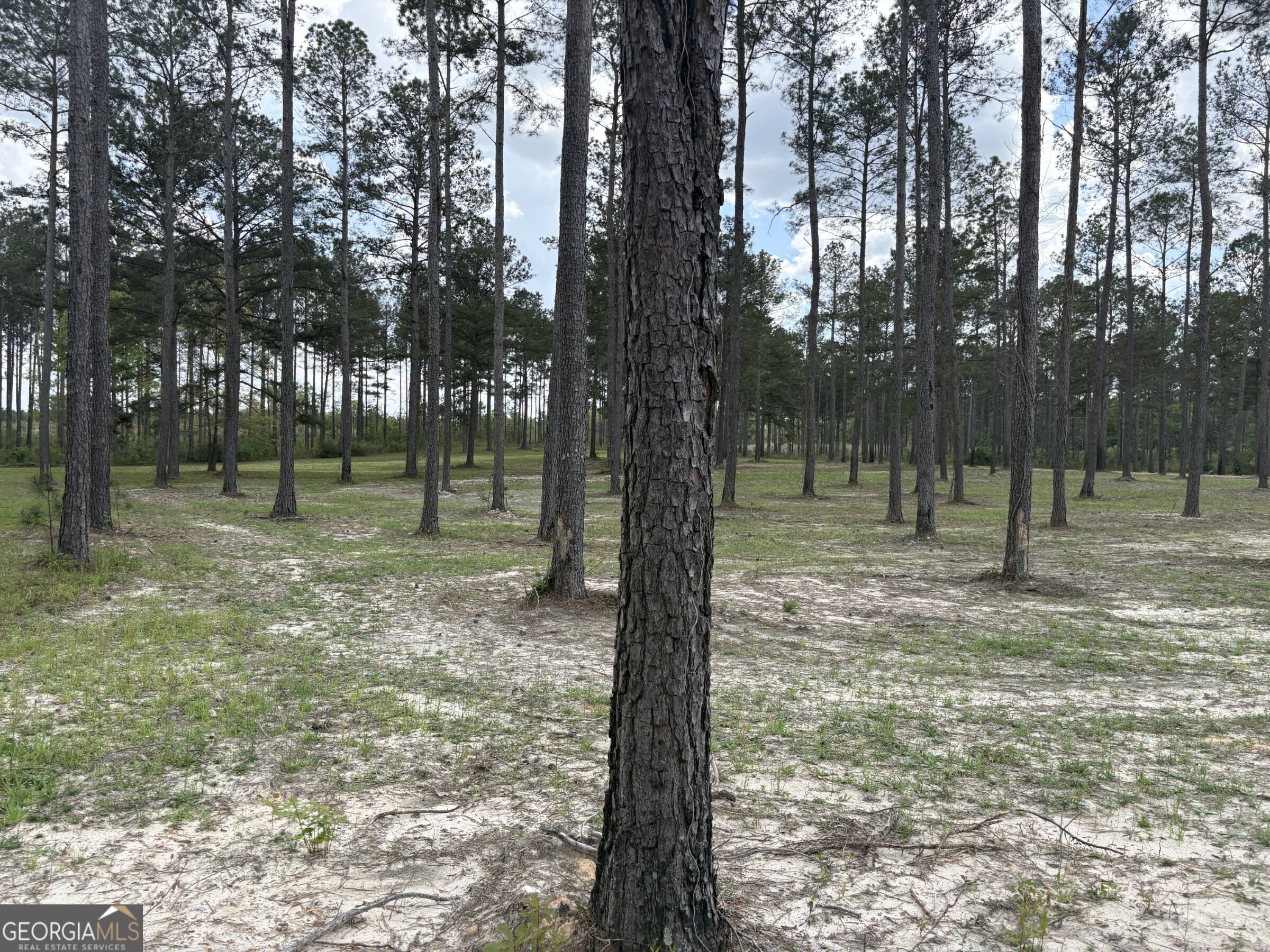 T4 Dc Hardie Road Gordon, GA 31031 - Photo 12 of 12 a view of outdoor space with trees