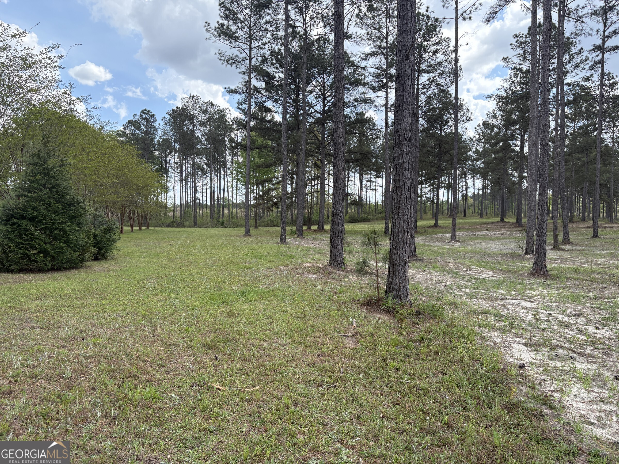 T4 Dc Hardie Road Gordon, GA 31031 - Photo 2 of 12 a view of a tree in a yard