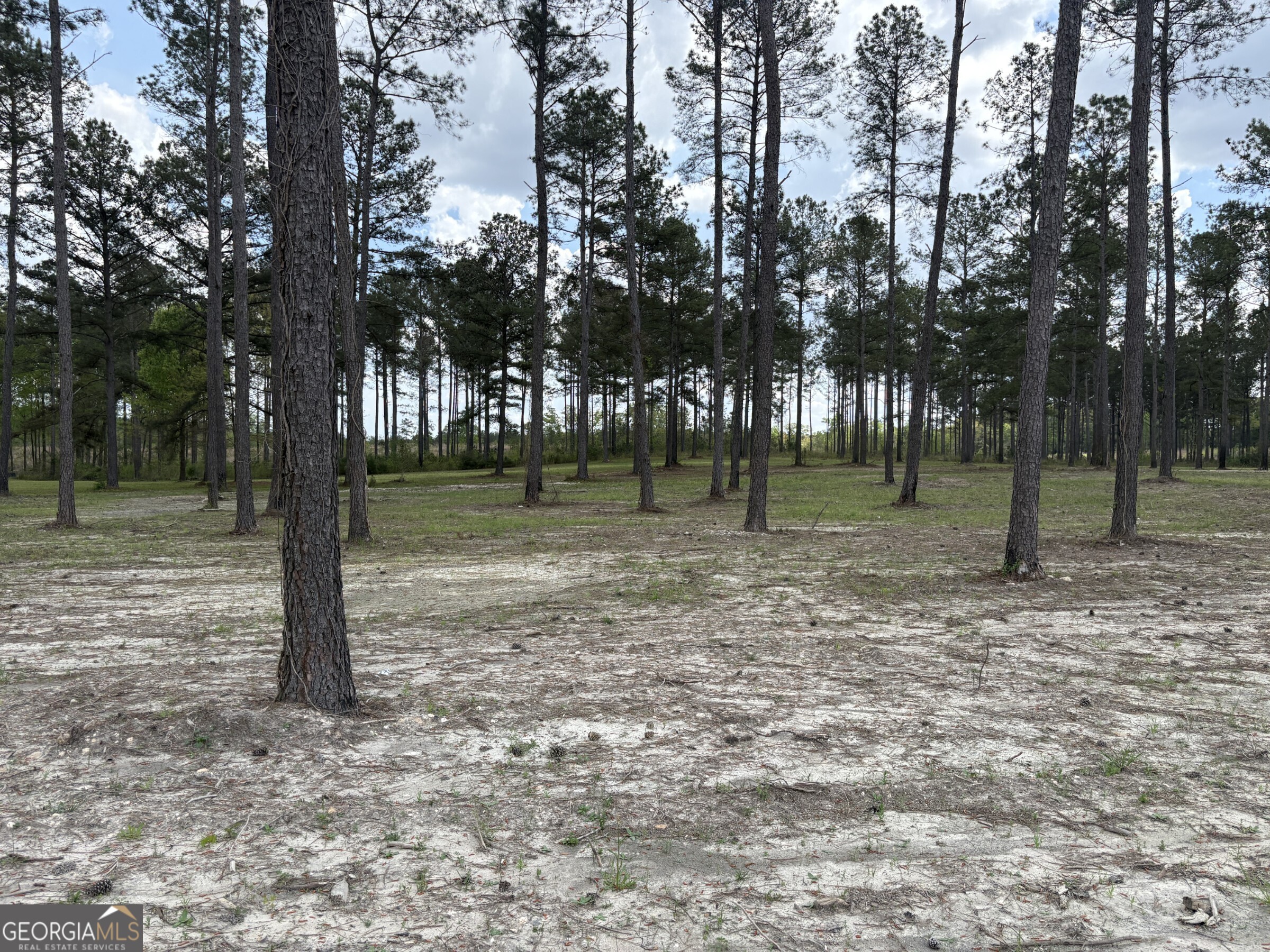T4 Dc Hardie Road Gordon, GA 31031 - Photo 3 of 12 a backyard of a house with lots of green space
