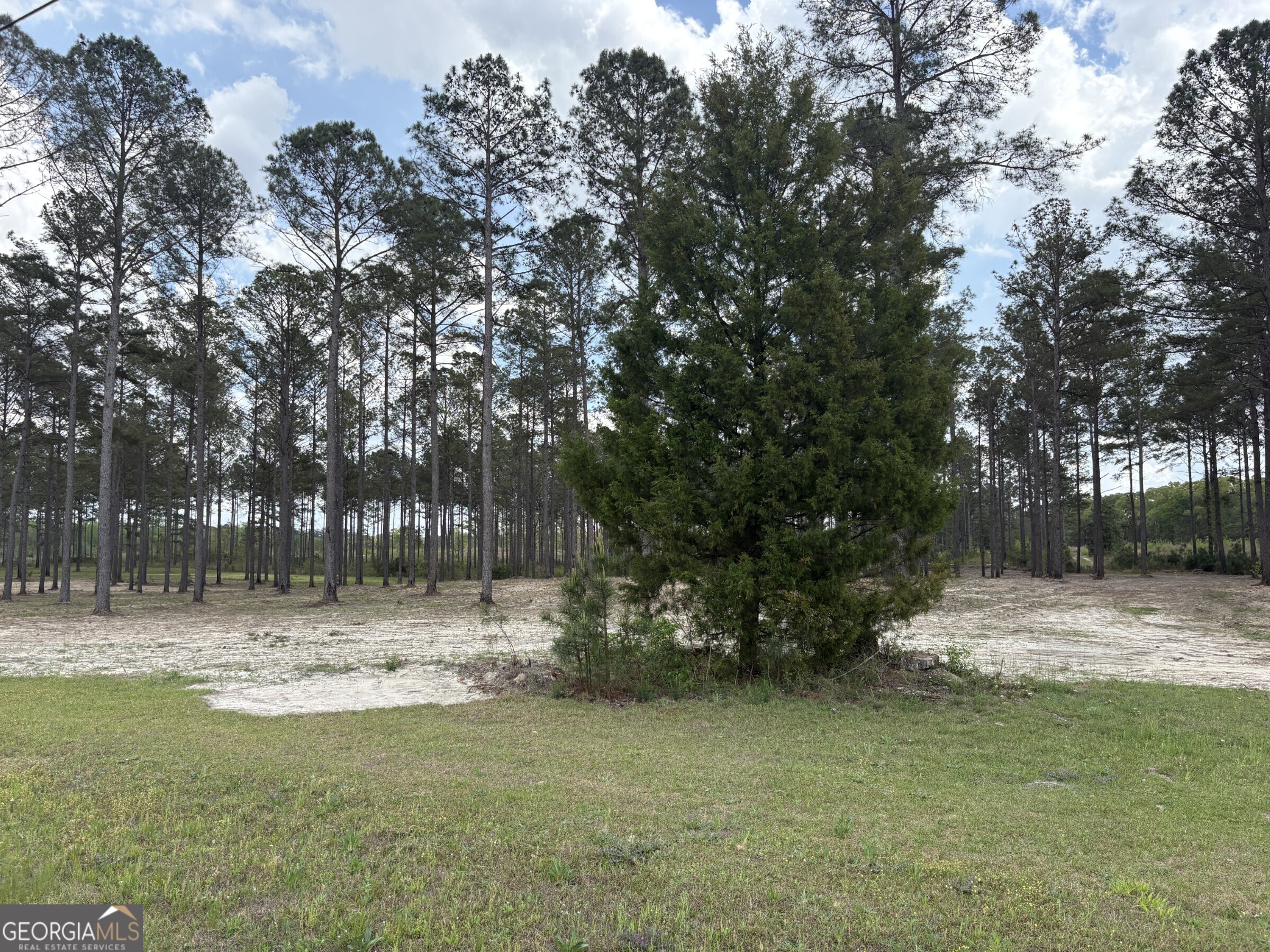 T4 Dc Hardie Road Gordon, GA 31031 - Photo 4 of 12 a view of outdoor space with trees all around