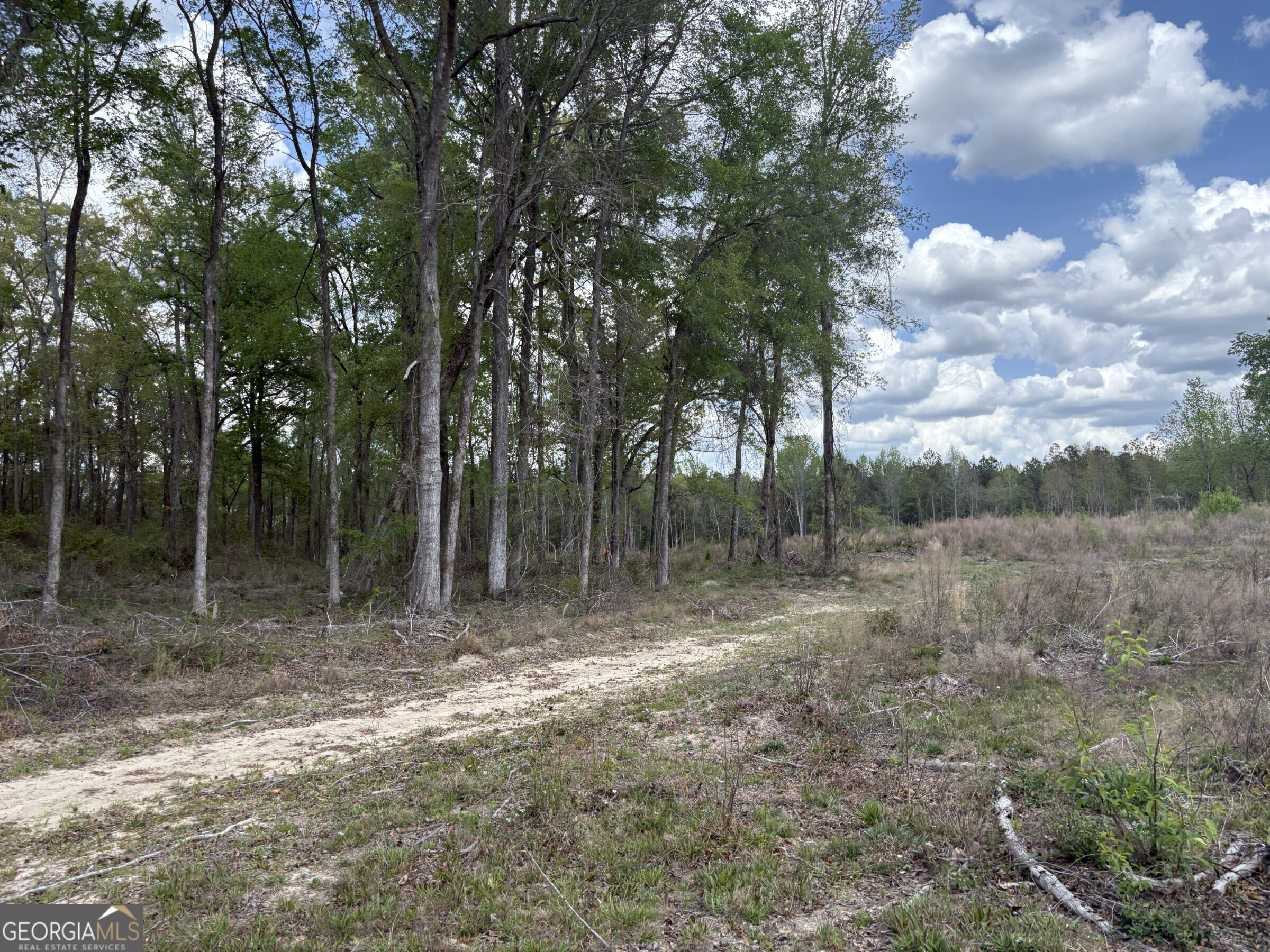 T4 Dc Hardie Road Gordon, GA 31031 - Photo 9 of 12 a view of outdoor space with trees all around