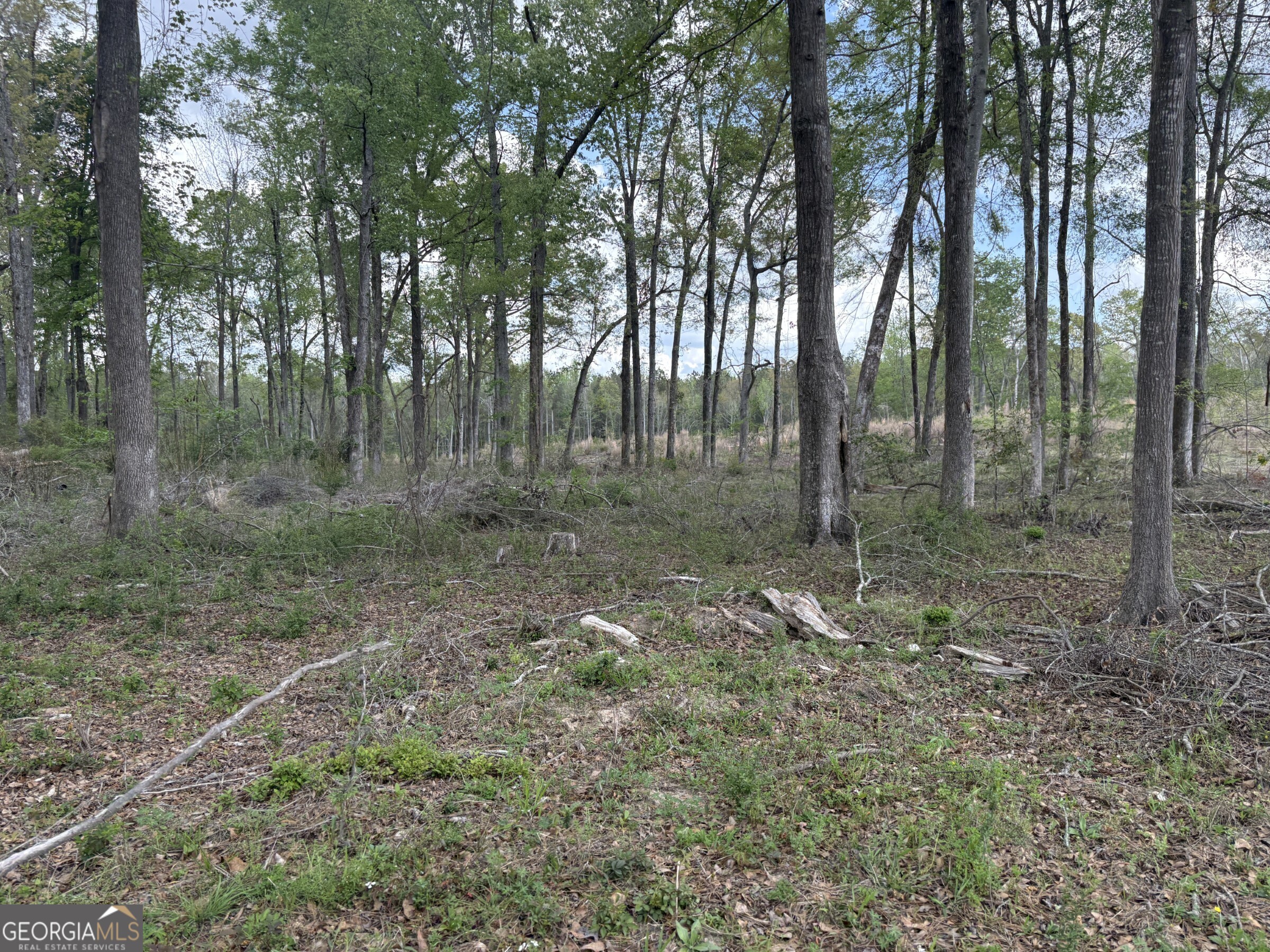 T4 Dc Hardie Road Gordon, GA 31031 - Photo 10 of 12 a view of outdoor space and green space