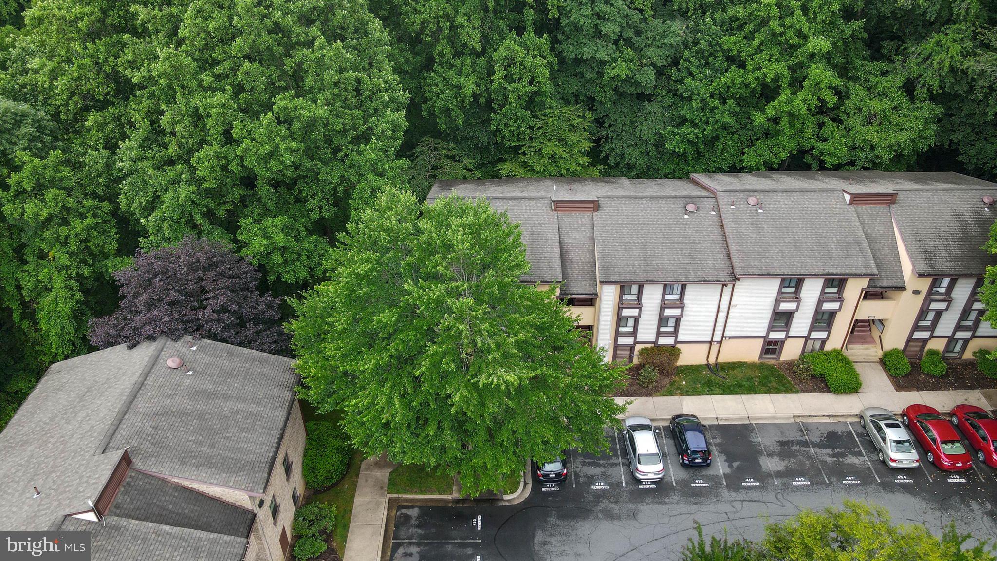 11661 Stoneview Square, Unit 1B Reston, VA 20191 - Photo 20 of 37 Wonderful trees!