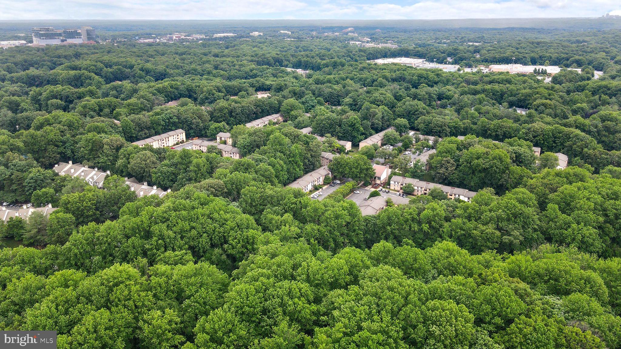11661 Stoneview Square, Unit 1B Reston, VA 20191 - Photo 23 of 37 Gallery Image 23