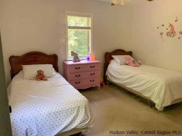 49 High Ridge Hensonville, NY 12439 - Photo 16 of 28 Photo 16