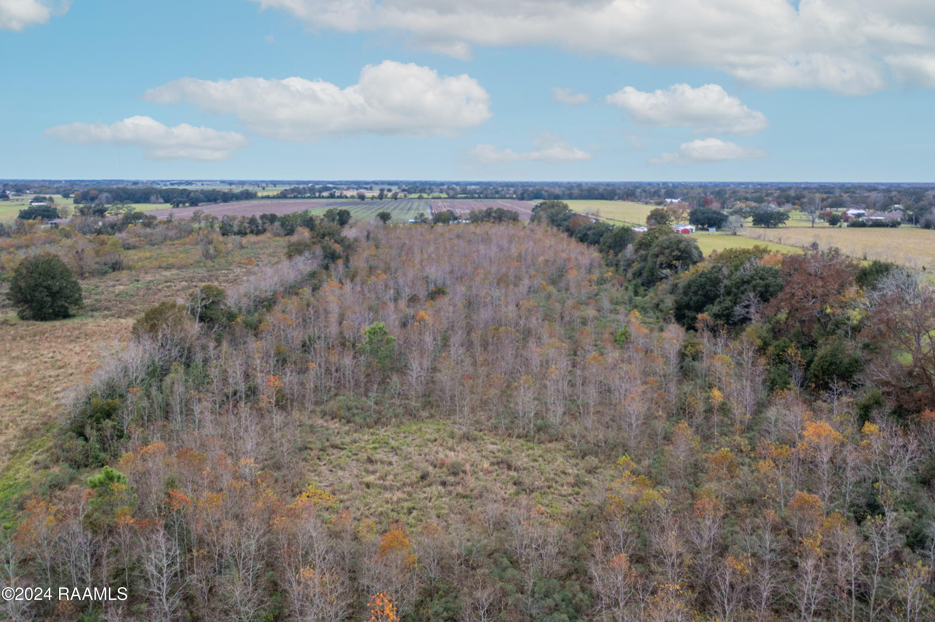 1300 Janvier Road Scott, LA 70583 - Photo 13 of 17 1300BlkJanvier-3